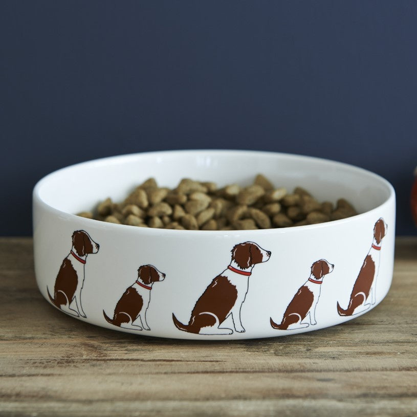 Sweet William - Dog Bowl - Liver & White Springer Spaniel