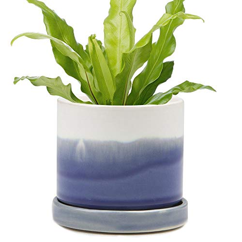 Chive Minute Cactus Succulent Ceramic Flower Plant Pot Container Cover with Detachable Saucer Indoor Outdoor Garden Decor Colour Blue Layer