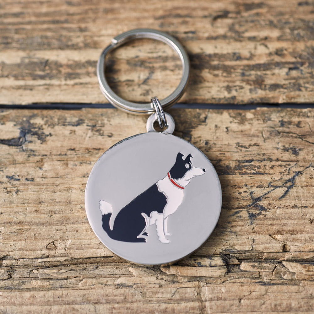 Sweet William - Dog Tag - Border Collie