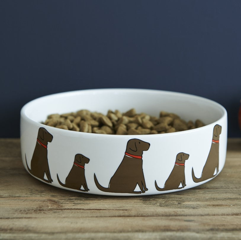 Sweet William - Dog Bowl - Chocolate Labrador