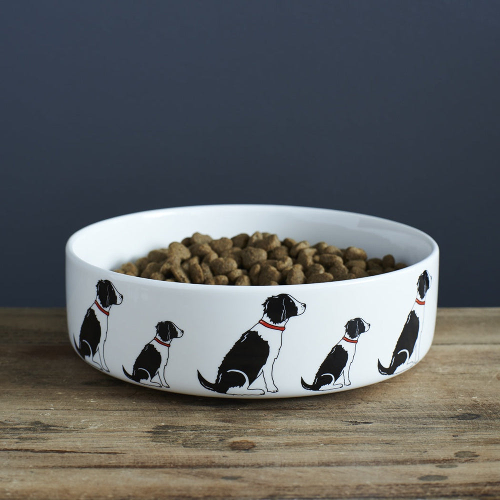 Sweet William - Dog Bowl - Black & White Springer Spaniel