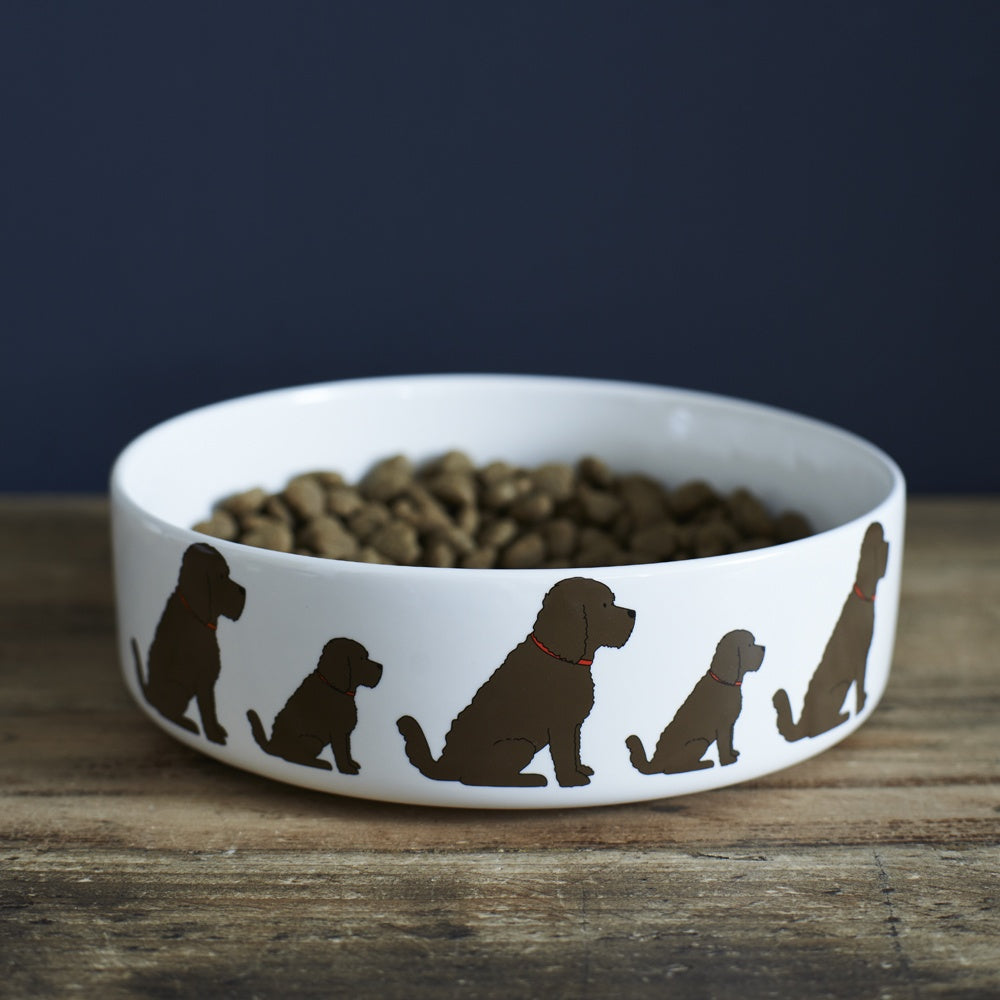 Sweet William - Dog Bowl - Chocolate Cockapoo