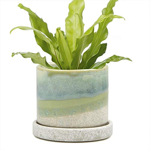 Chive Big Minute Cactus Succulent Ceramic Flower Plant Pot Container Cover with Detachable Saucer Indoor Outdoor Decor Colour Green Cement