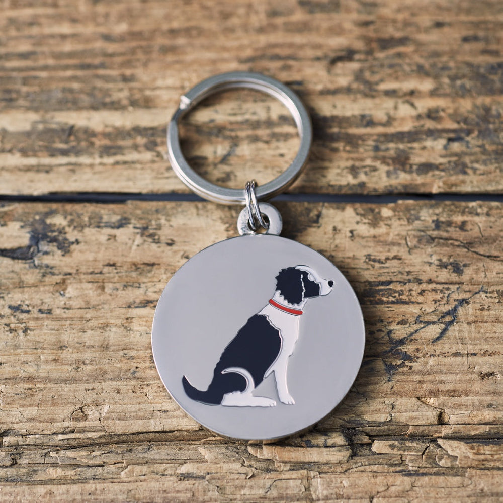 Sweet William - Dog Tag - Black & White Springer Spaniel