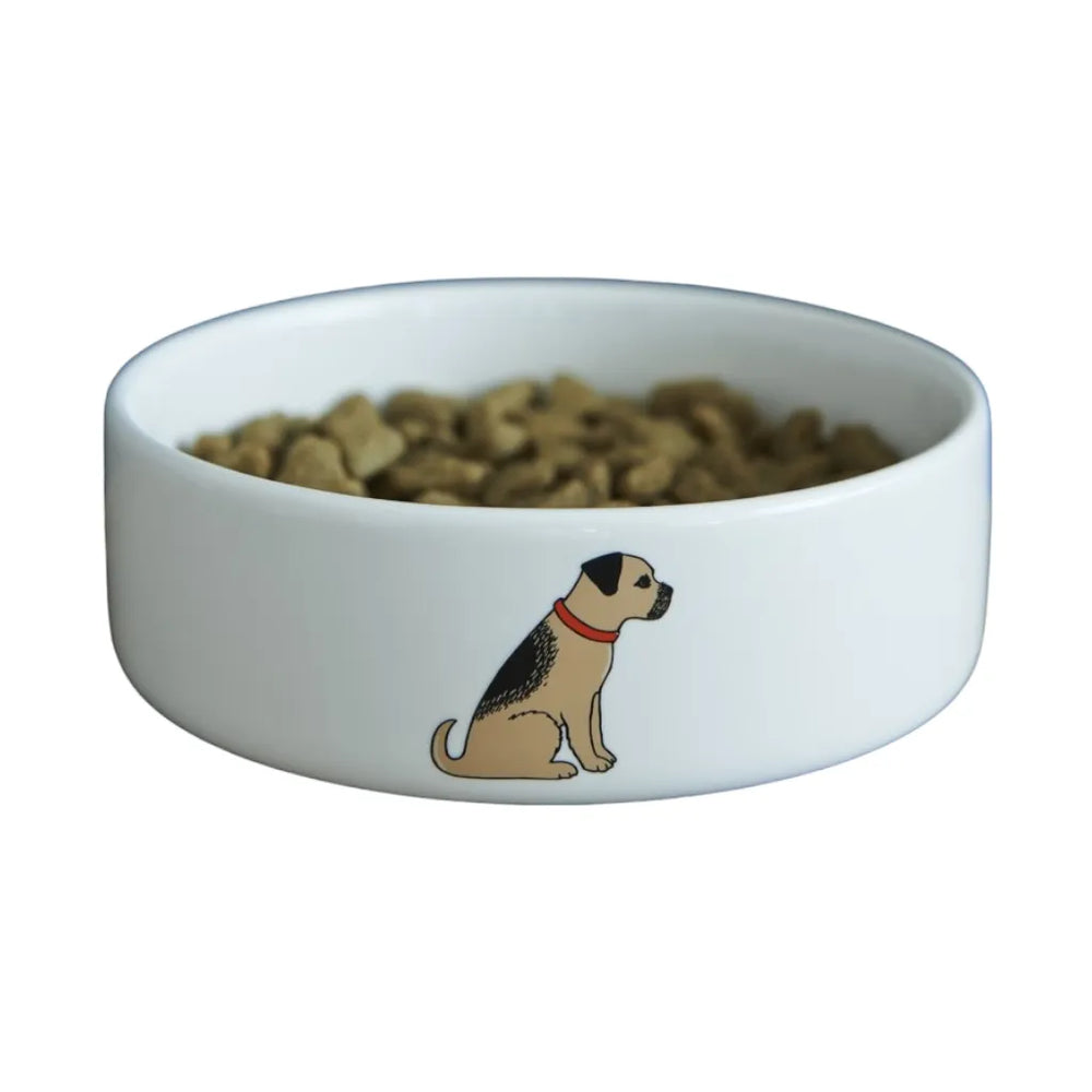 Dog bowl border terrier