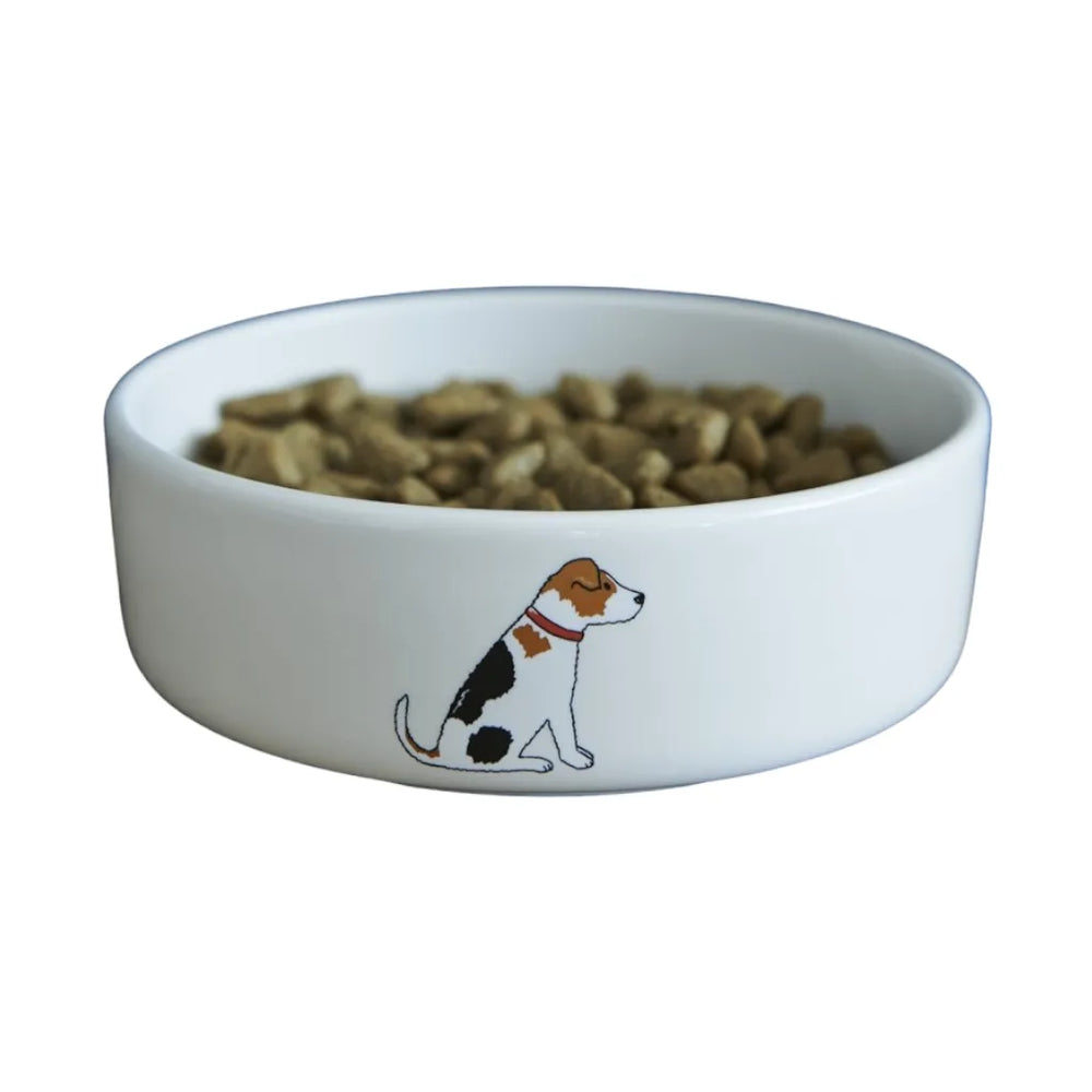 Dog bowl jack russell