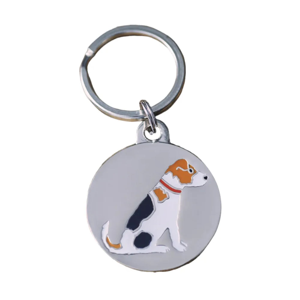 Dog tag jack russell